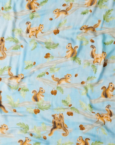 Squirrel Swaddle