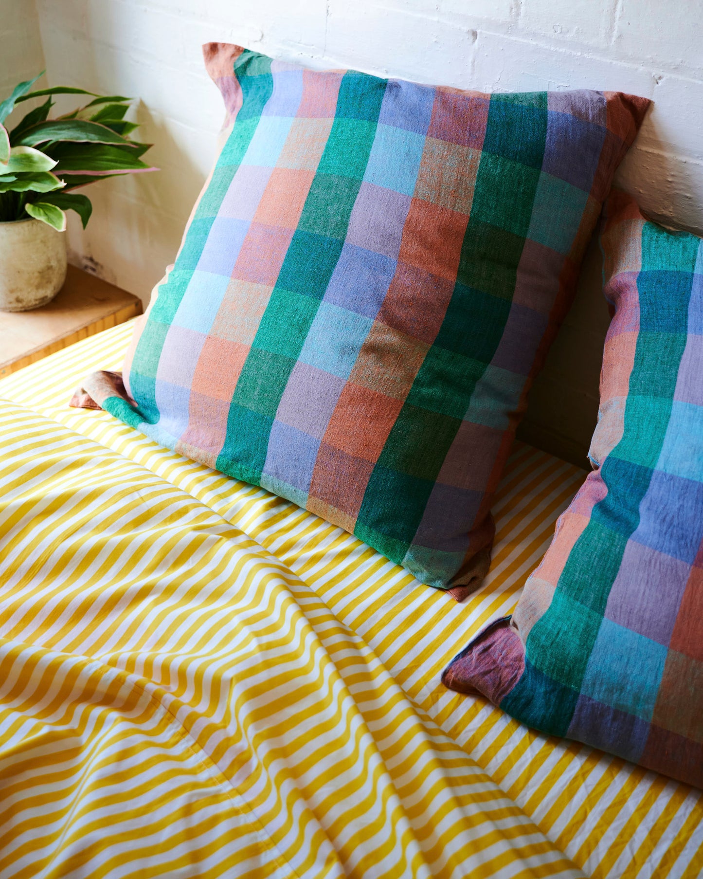 Skyline Tartan Euro Pillowcase Set
