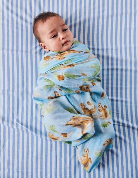 Squirrel Swaddle